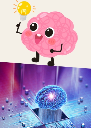 1 (62)