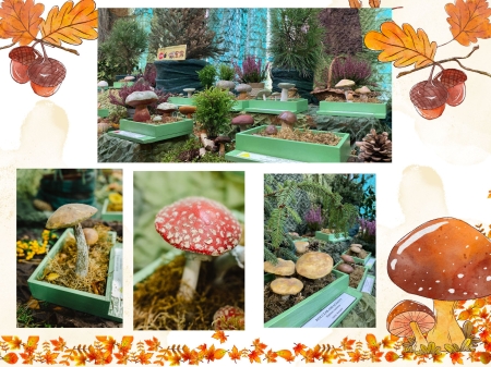 Wycieczka edukacyjna do Siedlec uczniów klasy 2 i 3