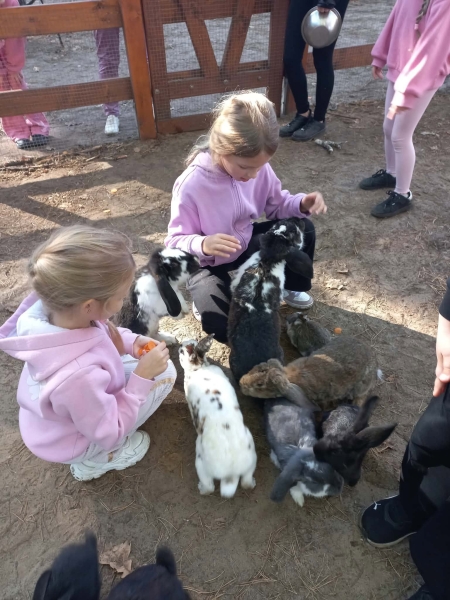 Wycieczka do mini ZOO